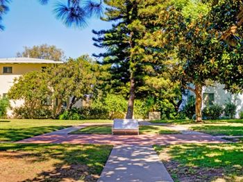 Courtyard Green Spaceat Chase Knolls, California